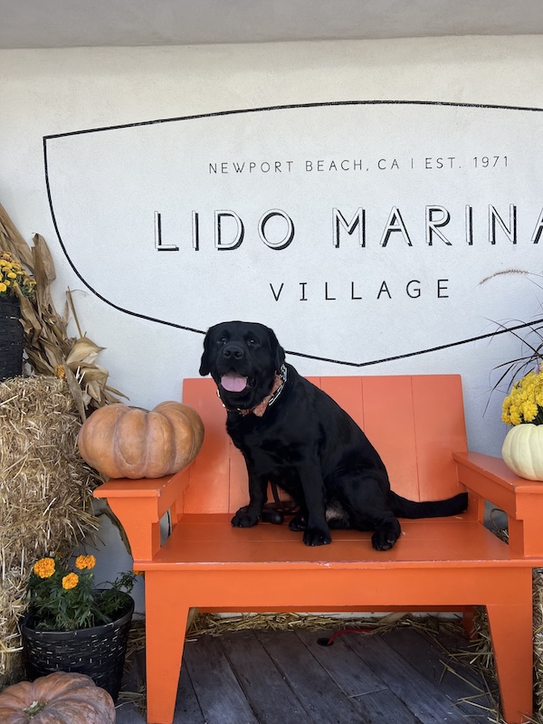 Things to Do in Orange County in October 2026